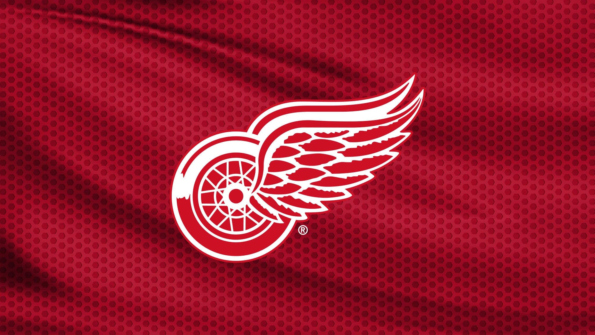 NHL: Detroit Red Wings vs. Anaheim Ducks