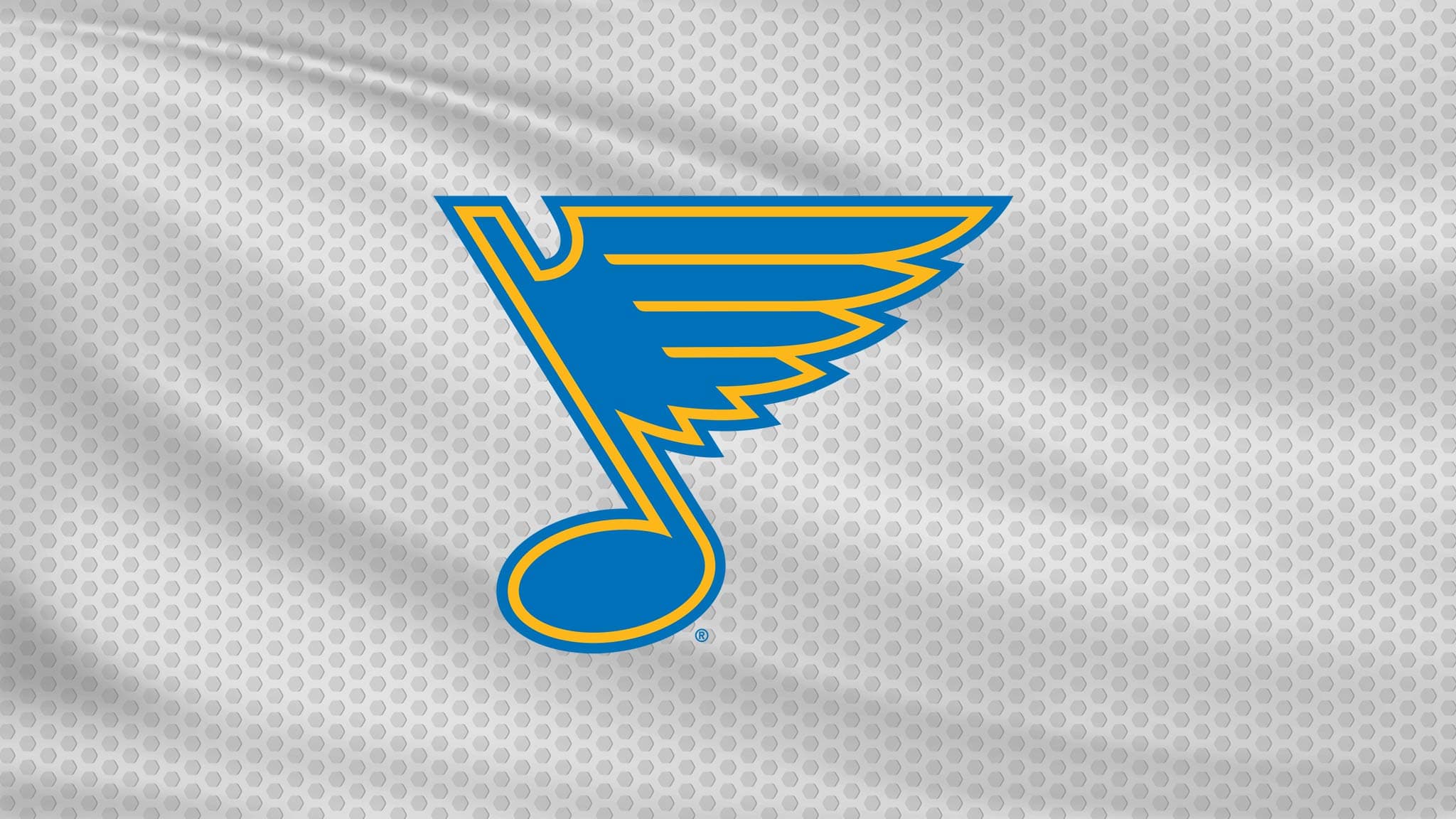 NHL: St. Louis Blues vs. Anaheim Ducks