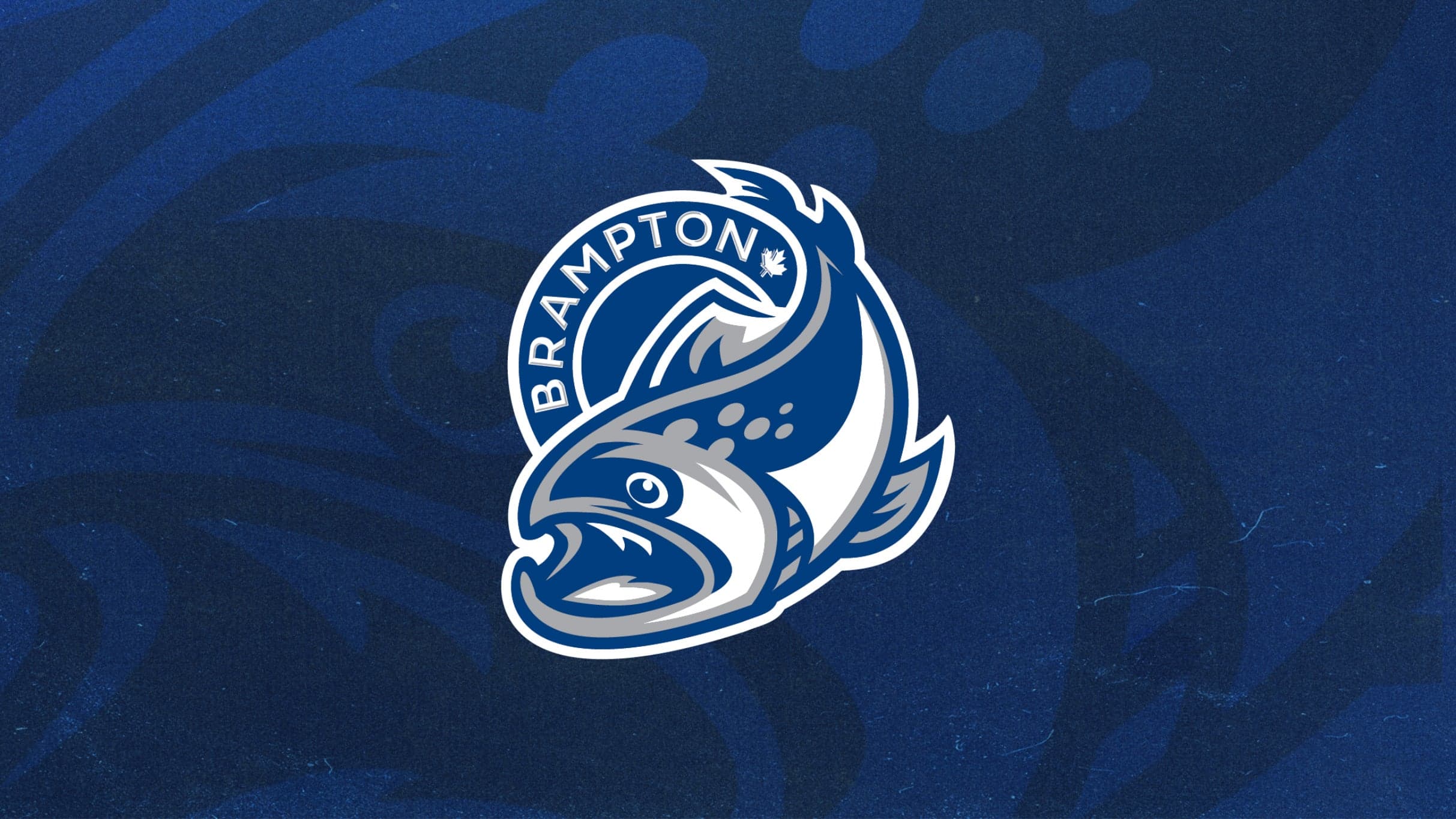 Brampton Steelheads vs. Oshawa Generals