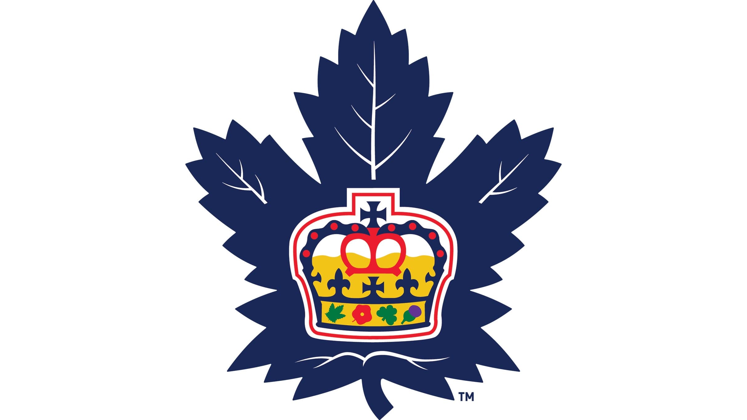 Toronto Marlies vs. Hamilton Hammers