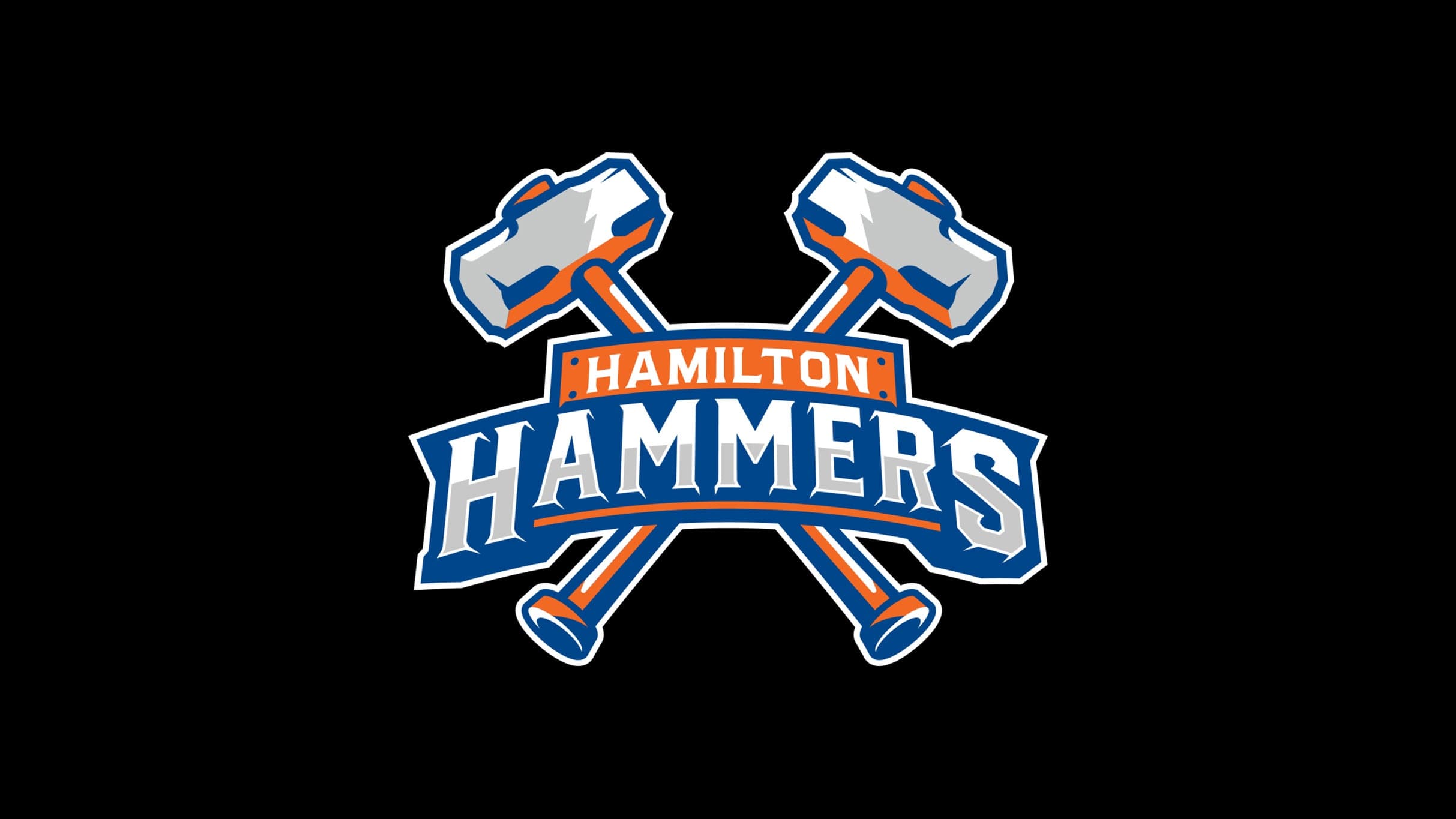 Hamilton Hammers vs. Toronto Marlies